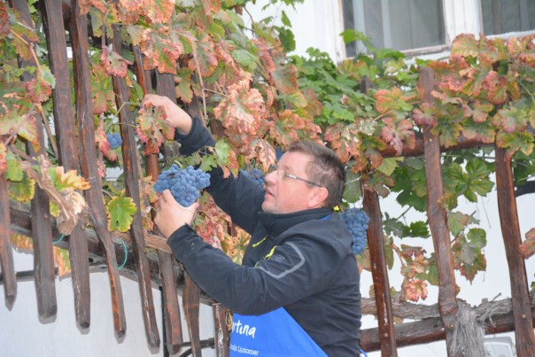 prleska-brotva-v-ljutomeru-1